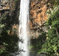Purling Brook Falls Gwongorella