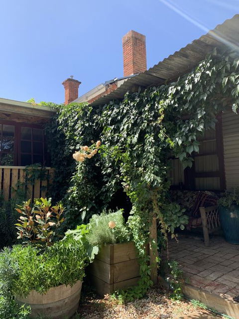 Red Hill Cottage - Stayed 2