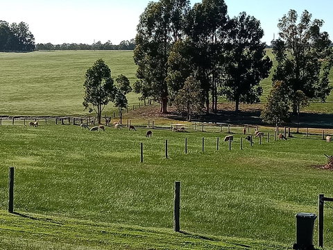 Redtail Ridge Cottages - Stayed 1