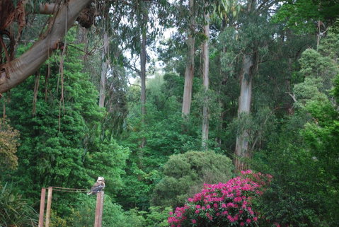 Rocky Creek Art Garden B&B - Stayed 2