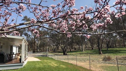 Rosewood Cottage - Stayed 2