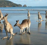 Seaforth Holiday Units - Stayed