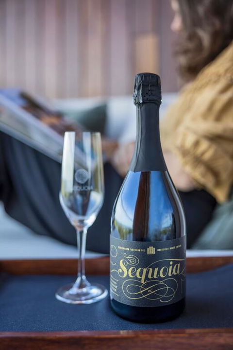 Sequoia Lodge - Stayed 3