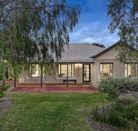 Shady Sheas - Stayed