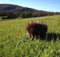 Silver Ridge Retreat - Stayed