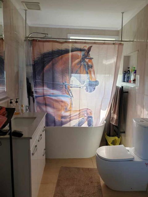 Silverbirch Cottage - Stayed 3