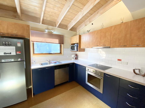 Snowdragon - Stayed 1