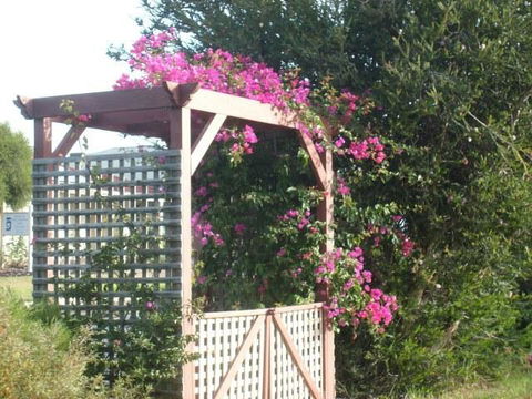 Southern Vales Bed & Breakfast - Stayed 3