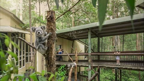 Springwood Meditation Centre - Stays Accommodation 0