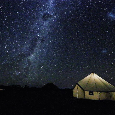 Starfields Luxury Camping - Stayed 3