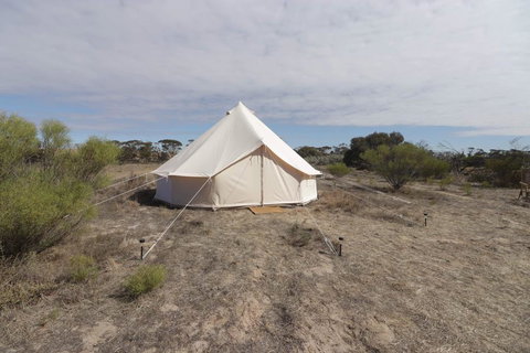 Starfields Luxury Camping - Stayed 1