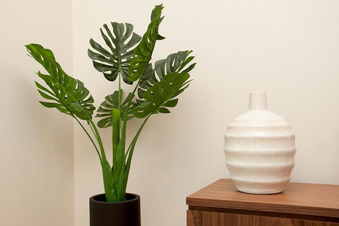 STAY&CO North Sydney Crows Nest - Stayed 2