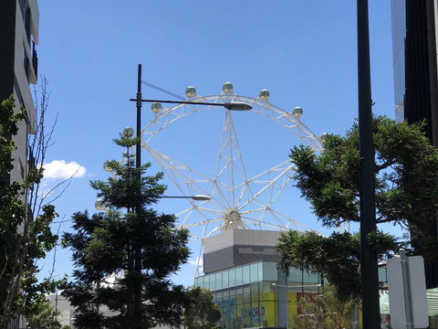 StayCentral Docklands Delight - Stayed 3