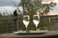 Book Forest Hill Accommodation Vacations Stayed Stayed