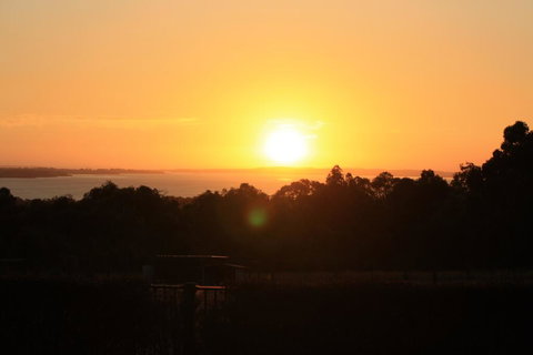 Studio 165 Hidden Gem On 50 Acres With Bay Views - Stayed 1