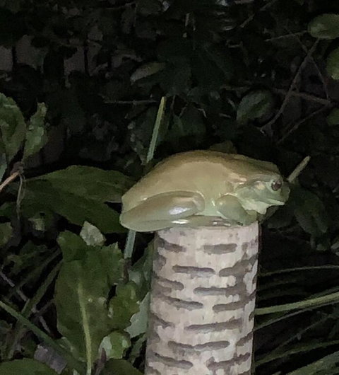 Studio With Stunning Mountain Views - Stayed 3