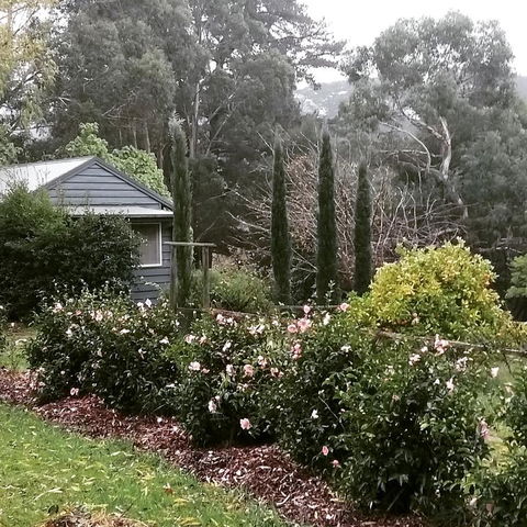 Summerhill Farm B&B - Stayed 3