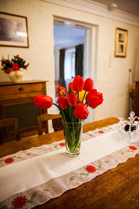 Sunnyside Cottage - Stayed 3