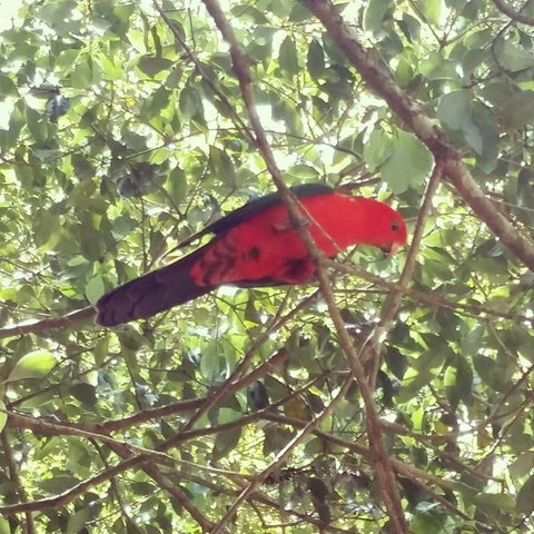 Sunshine Valley Cottages - Stayed 3