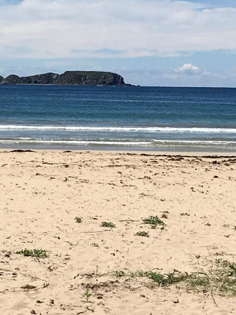 Surf Beach Holiday - Stayed 0