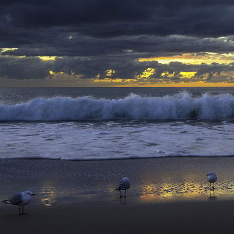 Surfers Horizons - Stayed 3