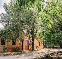 Terroir Auburn - Stayed