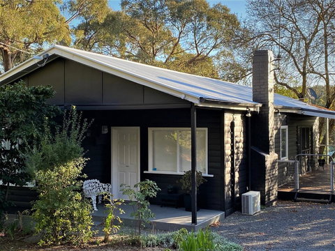 The Apple Tree - Stayed 0