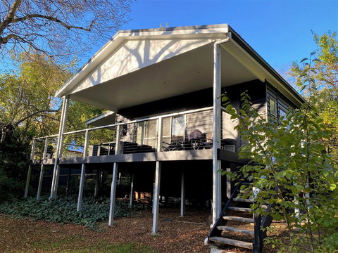 The Apple Tree - Stayed 1