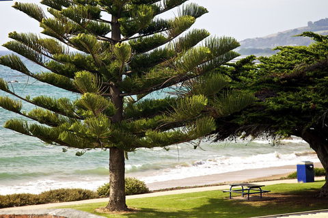 Penguin Beachfront Apartments - Stayed 9