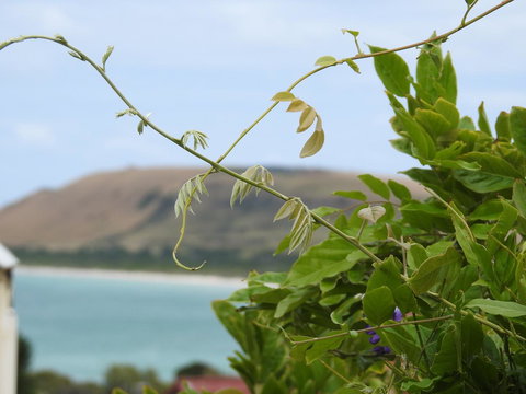 Ellie\'s Cottages - Stayed 3