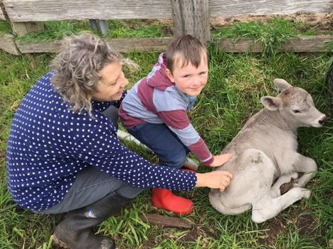 Ellie\'s Cottages - Stayed 41