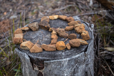 Rocky Hills Retreat - Stayed 15