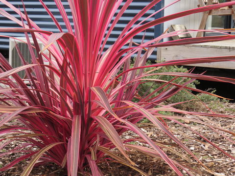 Captain Cook Holiday Park - Stayed 15