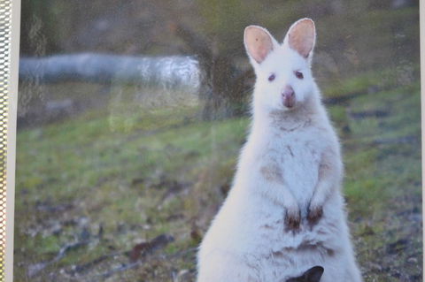 Captain Cook Holiday Park - Stayed 22