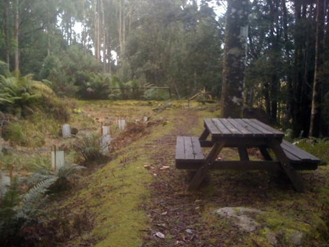 Sassafras Springs - Stayed 9