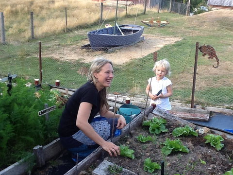 Sassafras Springs - Stayed 35