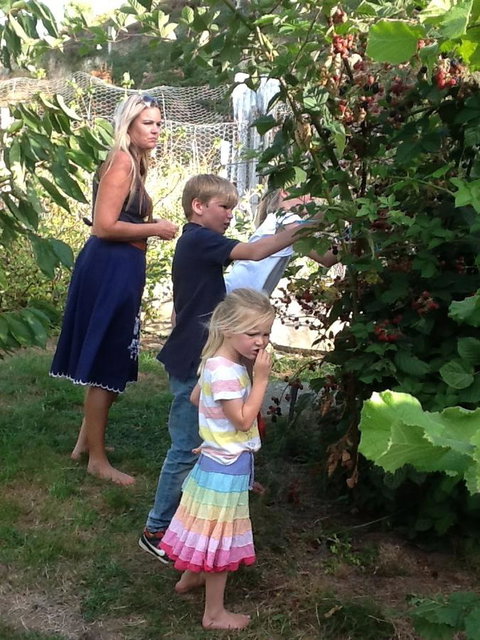 Sassafras Springs - Stayed 34