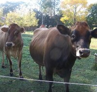 Drumreagh Bed  Breakfast Cabins - Stayed