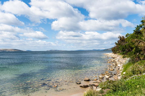 Litora Accommodation - Stayed 27