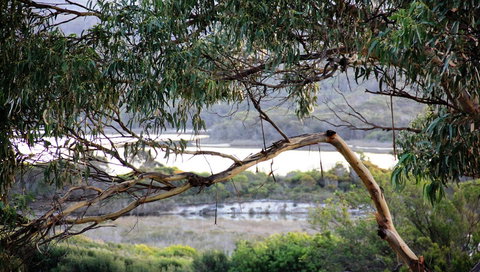 KINGFISHER COTTAGE Beachfront At The Binalong Bay - Stayed 17