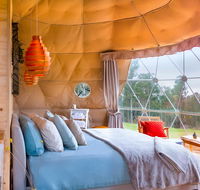 Domescapes in the Vines - Stayed