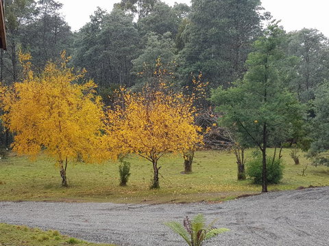 Cradle Alpine Retreat - Stayed 3