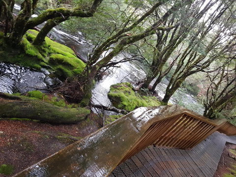 Cradle Alpine Retreat - Stayed 13