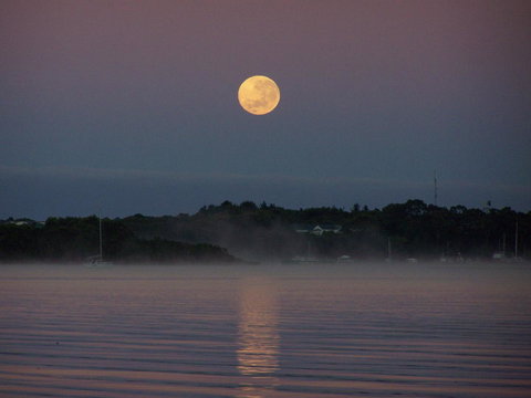 Regatta Point Tavern & Holiday Villas - Stayed 39