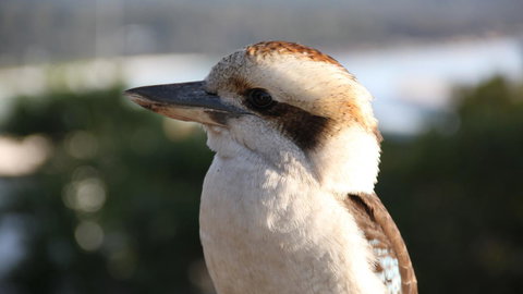 BAY OF FIRES ECO HUT Off Grid Experience At Binalong Bay - Stayed 19