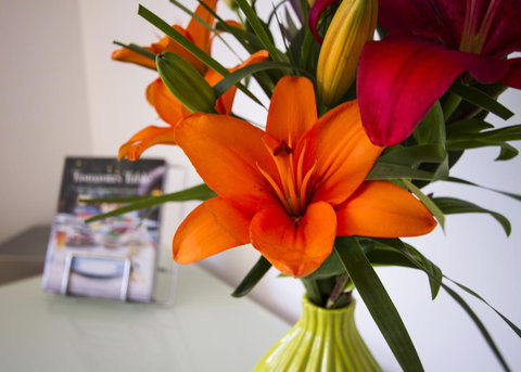 Bellerive Marina View Apartments No 28 - Stayed 17