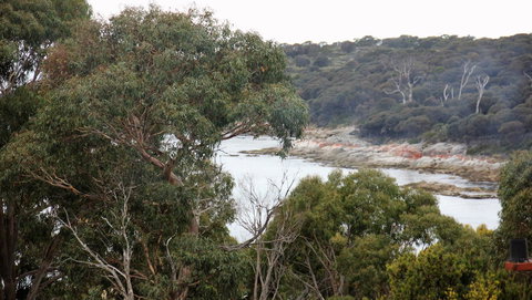 BAY OF FIRES SEACHANGE Ocean Frontage - Stays Accommodation 15