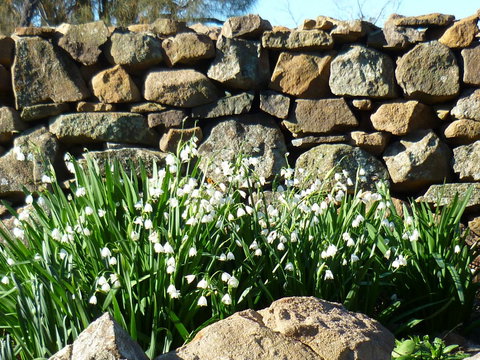 Wagners Cottages - Stayed 11