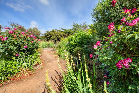 Wagners Cottages - Stayed 30
