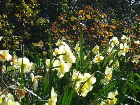 Wagners Cottages - Stayed 13